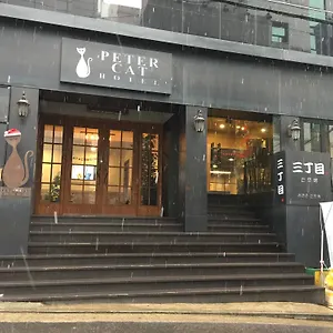 Petercat Shinchon 3*, Сеул Южная Корея